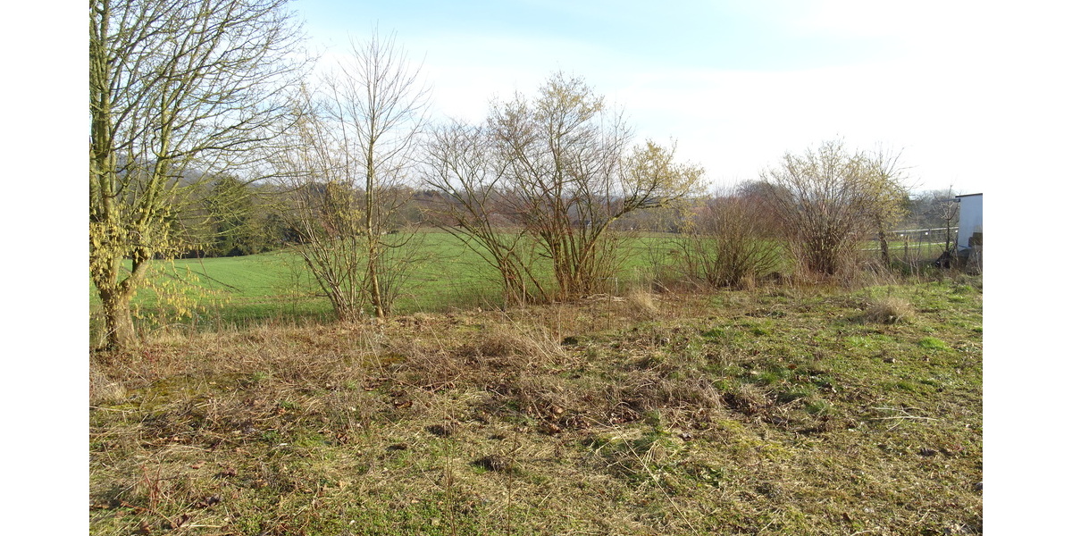 Sackgassenlage! Baugrundstück mit Blick auf das Wiehengebirge in Bad Oeynhausen-Wulferdingsen - Grundstück Bad Oeynhausen Wulferdingsen | Angebot:25645629