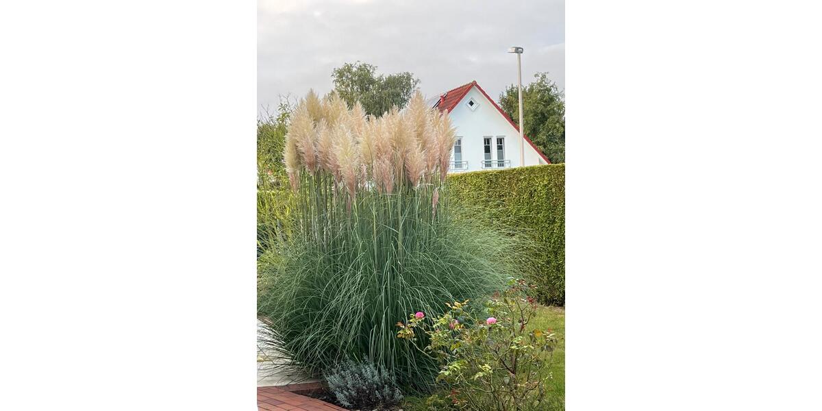 Einfamilienhaus Minden Kuhlenkamp - 5 Zimmer, 170 m&sup2;, 1.700&euro; | Angebot:25967737