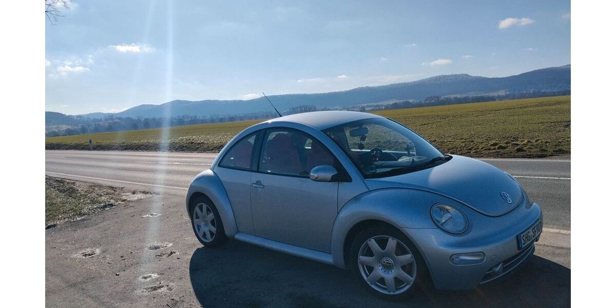 VW New Beetle 295.000 km 2.290 &euro; Rodenberg 31552