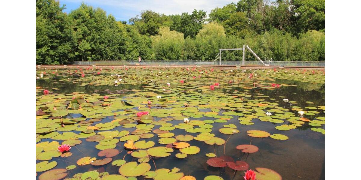 Erdgeschoßwohnung Löhne - 4 Zimmer, 102 m&sup2;, 336.600&euro; | Angebot:26211996