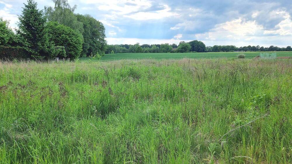 Grundstück Kirchlengern Quernheim - 122.000&euro; | Angebot:25770344