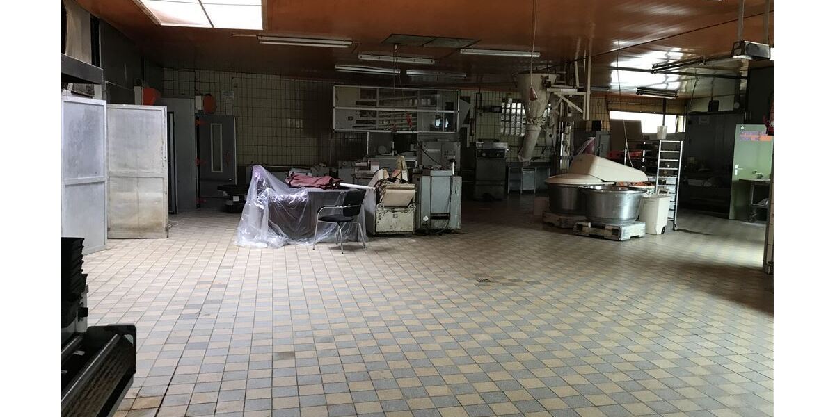 4 auf einen Streich ... 2 Wohnhäuser, 1 Gewerbeimmobilie und 1 Baugrundstück ... - Mehrfamilienhaus, Wohnhaus Uchte | Angebot:26096576