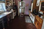 TOP-INVESTMENT IN NATURNAHE STADTLAGE - Mehrfamilienhaus, Wohnhaus Petershagen | Angebot:26714712