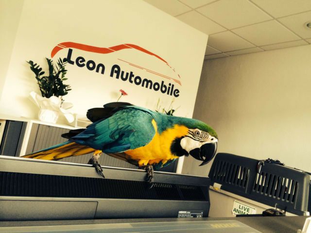 VW Caddy Maxi 44.200 km 27.990 &euro; Bad Oeynhausen 32547