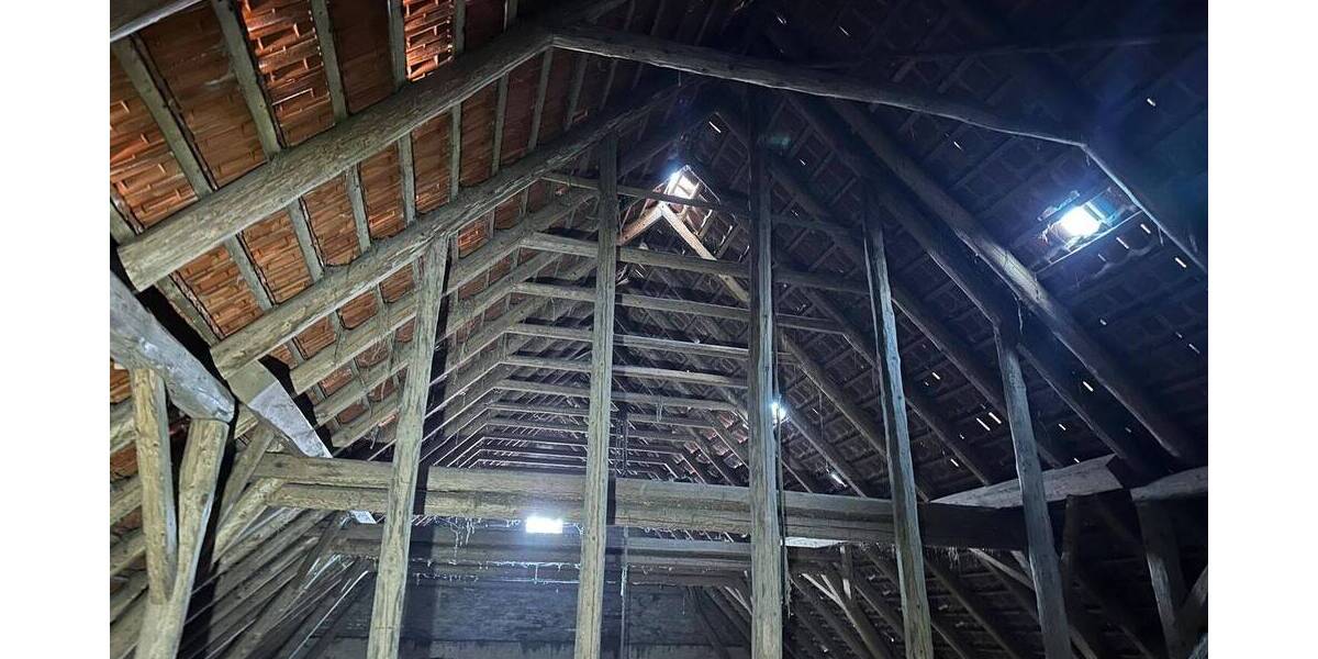 Bauernhaus, Landhaus Niedernwöhren - 1 Zimmer, 375 m&sup2;, 270.000&euro; | Angebot:25731745