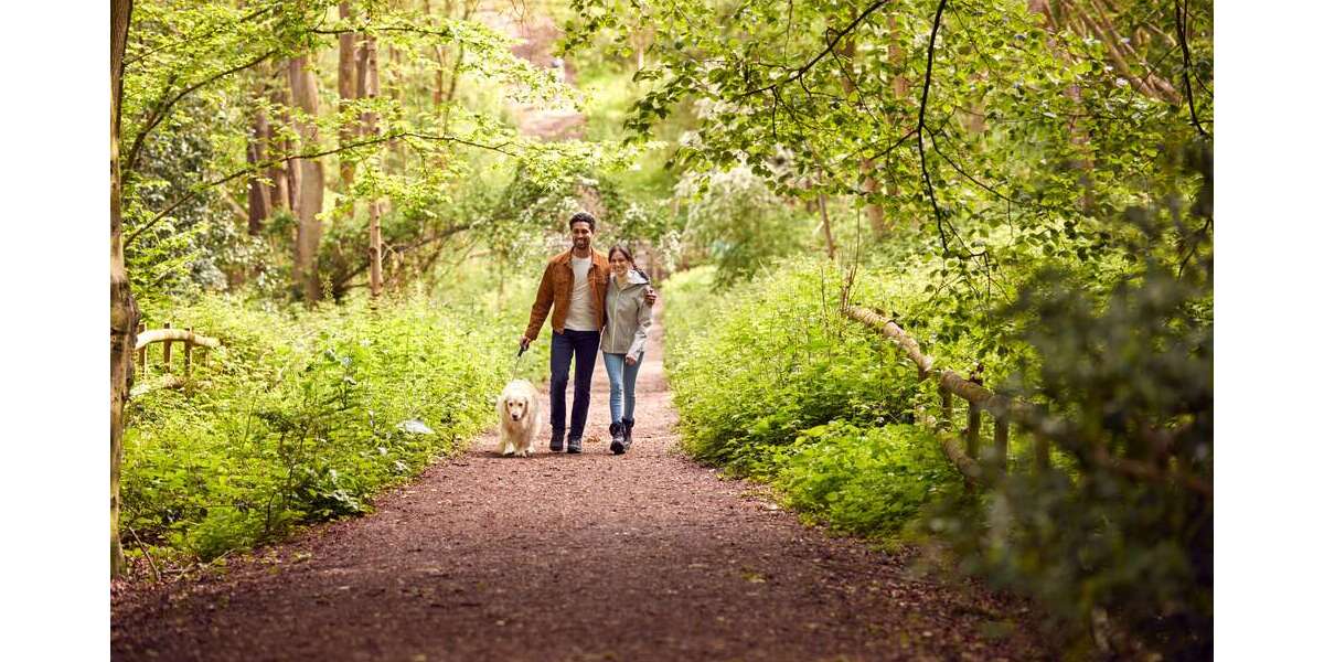 Etagenwohnung Nordrhein-Westfalen - Löhne Löhne - 4 Zimmer, 138 m&sup2;, 483.000&euro; | Angebot:21201006