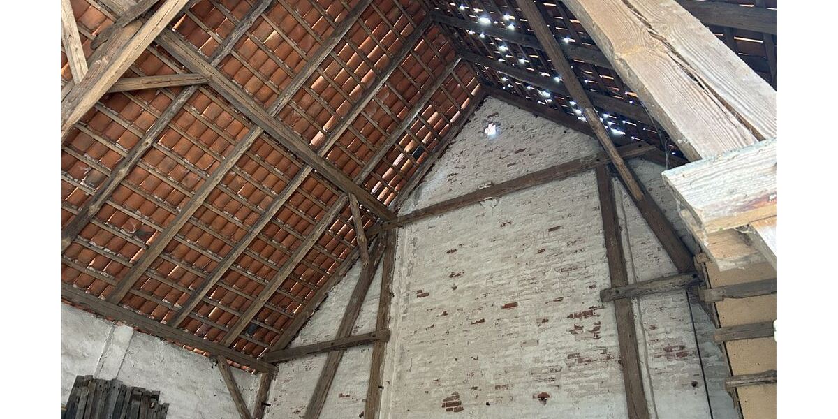 Charmanter Resthof mit Nebengebäuden und viel Platz für Tierhaltung - Gewerbeobjekt Stolzenau | Angebot:26302275