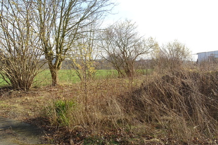 Sackgassenlage! Baugrundstück mit Blick auf das Wiehengebirge in Bad Oeynhausen-Wulferdingsen - Grundstück Bad Oeynhausen Wulferdingsen | Angebot:25645629