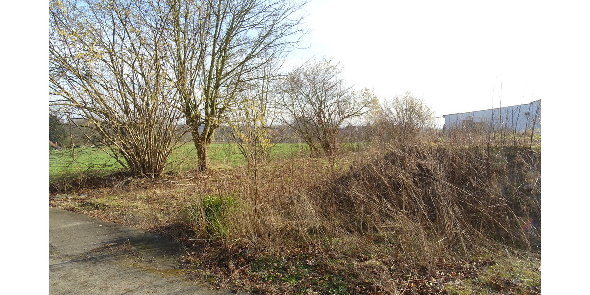 Sackgassenlage! Baugrundstück mit Blick auf das Wiehengebirge in Bad Oeynhausen-Wulferdingsen - Grundstück Bad Oeynhausen Wulferdingsen | Angebot:25645629