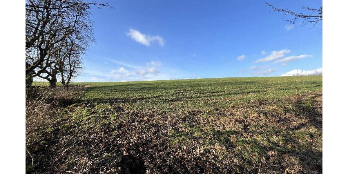 Grundstück Extertal-Bösingfeld Bösingfeld - 51.000&euro; | Angebot:25729448