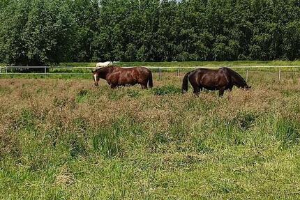 Haus Hille - 4 Zimmer, 200 m&sup2;, 3.300&euro; | Angebot:24361426