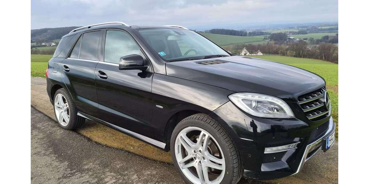 Mercedes-Benz ML 350 285.864 km 13.900 &euro; Extertal 32699