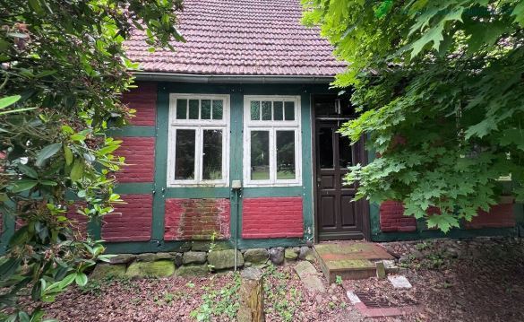 Historischer Niedersachsen- Bauernhof in Fachwerk mit Pferdeboxen u. tollen Eichenbaumbestand - Gewerbeobjekt Diepenau | Angebot:26302225