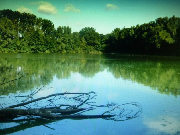 Seeanwesen in NRW - Grundstück Porta Westfalica | Angebot:19799677