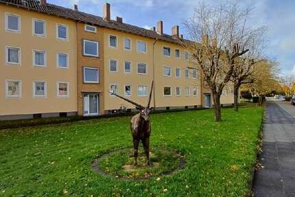 Wohnung Minden Bärenkämpen - 2 Zimmer, 34 m&sup2;, 649&euro; | Angebot:27182866
