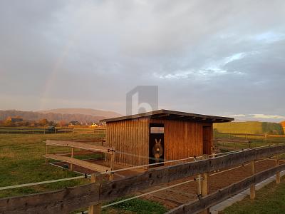 WOHNEN AUF GROßEM RESTHOF IM WESERBERGLAND - Bauernhaus, Landhaus Rinteln Engern Engern | Angebot:27301417