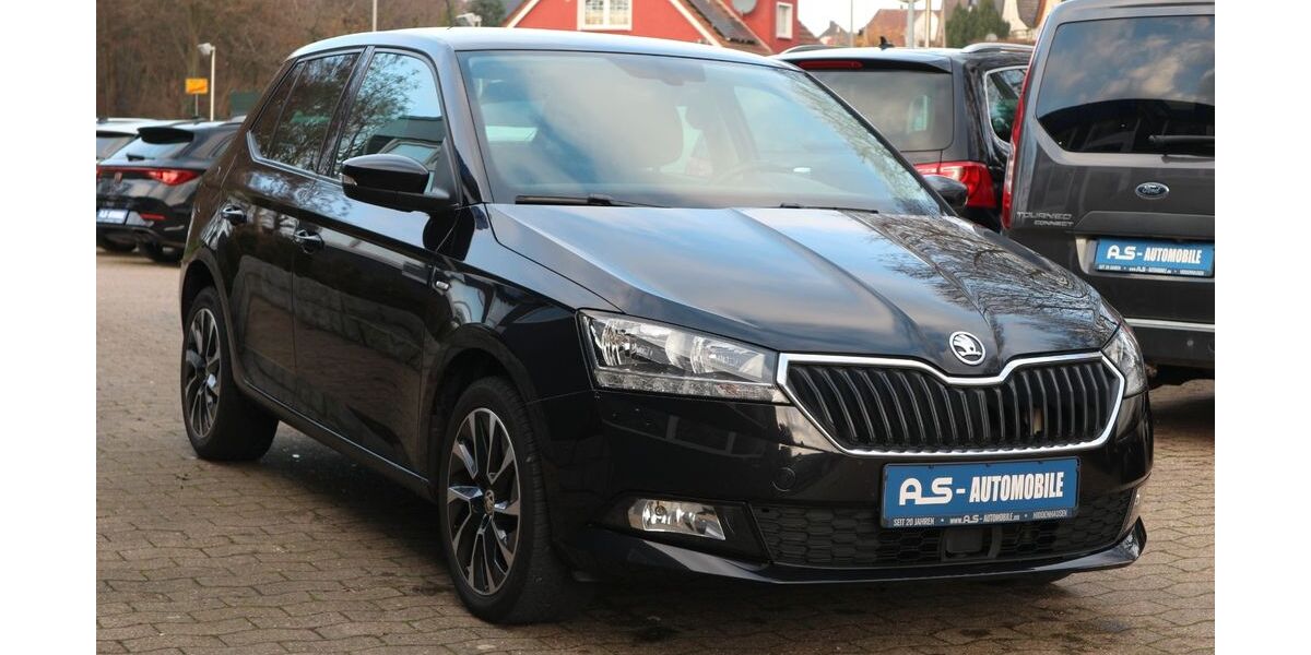 Skoda Fabia 124.700 km 9.900 &euro; Hiddenhausen 32120
