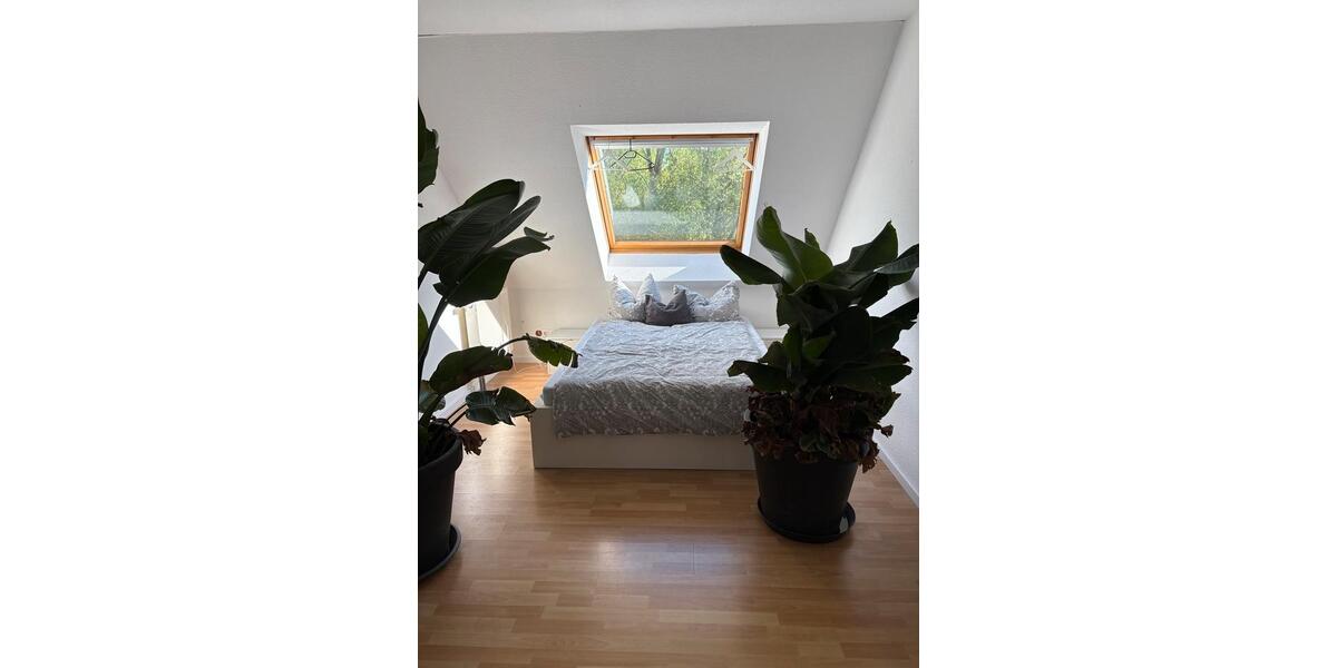 Doppelhaushälfte Bad Salzuflen Biemsen-Ahmsen - 4 Zimmer, 124 m&sup2;, 240.000&euro; | Angebot:26268720