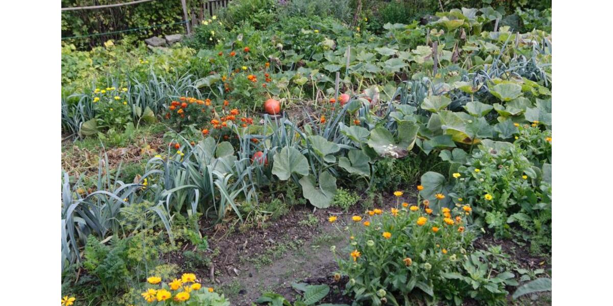 Einfamilienhaus Extertal - 2 Zimmer, 100 m&sup2;, 219.000&euro; | Angebot:24308242