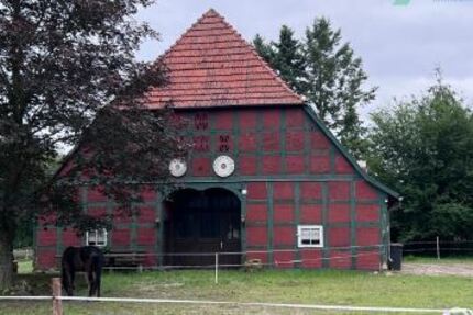 Historischer Niedersachsen- Bauernhof in Fachwerk mit Pferdeboxen u. tollen Eichenbaumbestand - Gewerbeobjekt Diepenau | Angebot:27295101