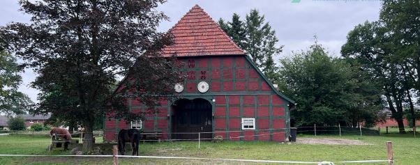 Historischer Niedersachsen- Bauernhof in Fachwerk mit Pferdeboxen u. tollen Eichenbaumbestand - Gewerbeobjekt Diepenau | Angebot:27295101