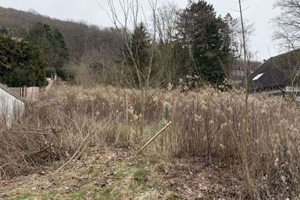 Grundstück Rinteln - Todenmann Todenmann - 120.000&euro; | Angebot:25220202