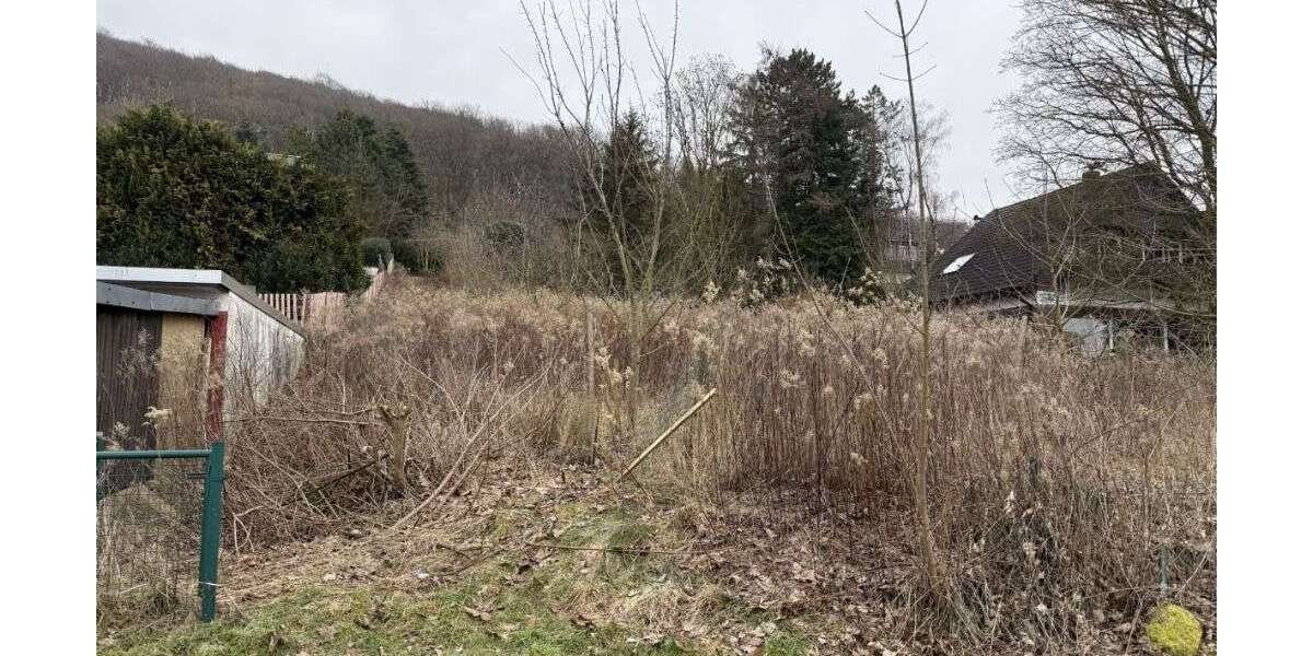 Grundstück Rinteln - Todenmann Todenmann - 120.000&euro; | Angebot:25220202