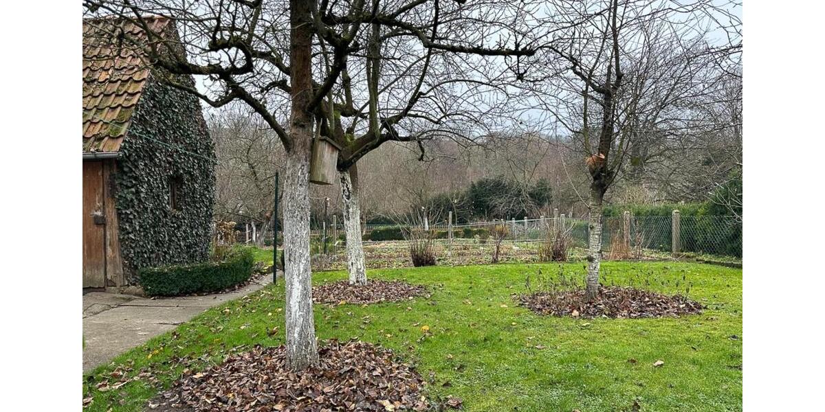 Einfamilienhaus Extertal - 2 Zimmer, 100 m&sup2;, 219.000&euro; | Angebot:24308242