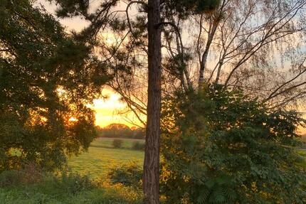 Haus Leese - 250.000&euro; | Angebot:23768846