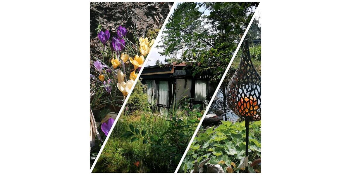 Bungalow Rehburg-Loccum Loccum - 2 Zimmer, 56 m&sup2;, 145.000&euro; | Angebot:26024329