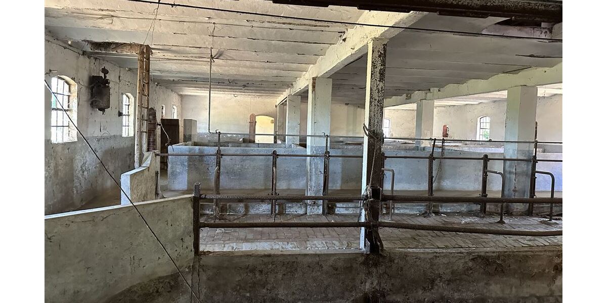 Großes Anwesen am Weser-Radweg, ideal für Pferdehaltung & Hofcafé - Gewerbeobjekt Stolzenau | Angebot:26302367