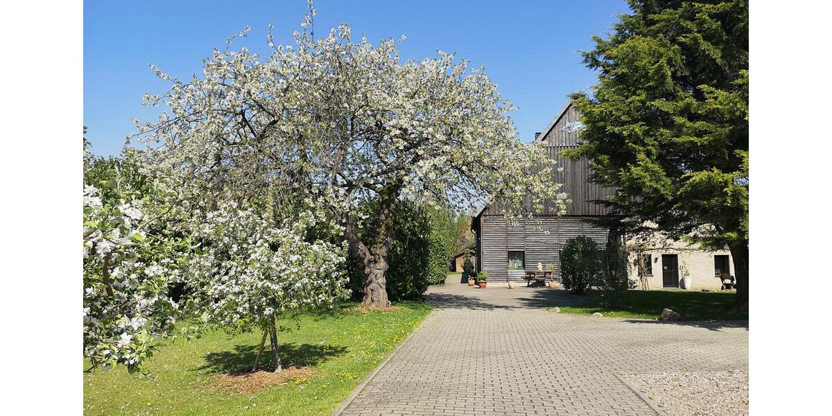 Mehrfamilienhaus, Wohnhaus Lemgo - 8 Zimmer, 215 m&sup2;, 459.000&euro; | Angebot:25882601