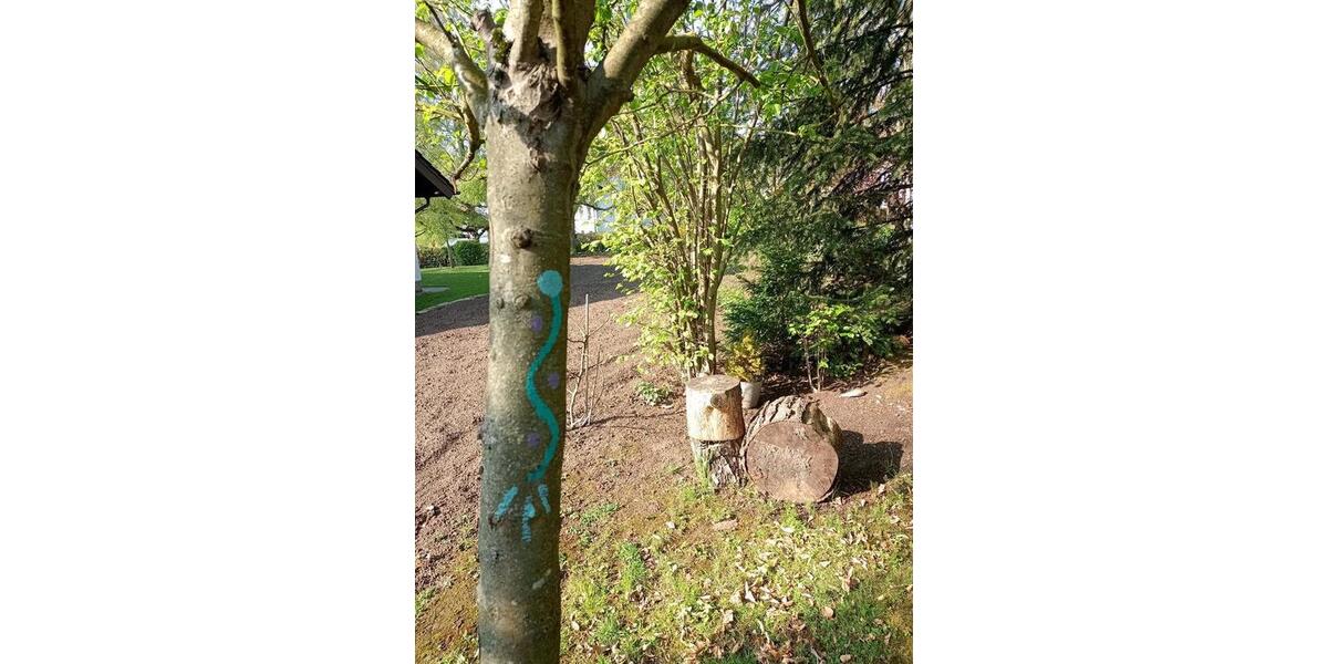 Einfamilienhaus Obernkirchen - 475.000&euro; | Angebot:25637858