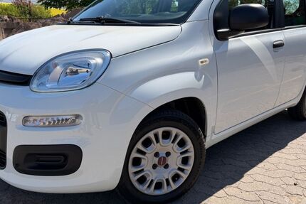 Fiat Panda 59.700 km 7.900 &euro; Minden 32429