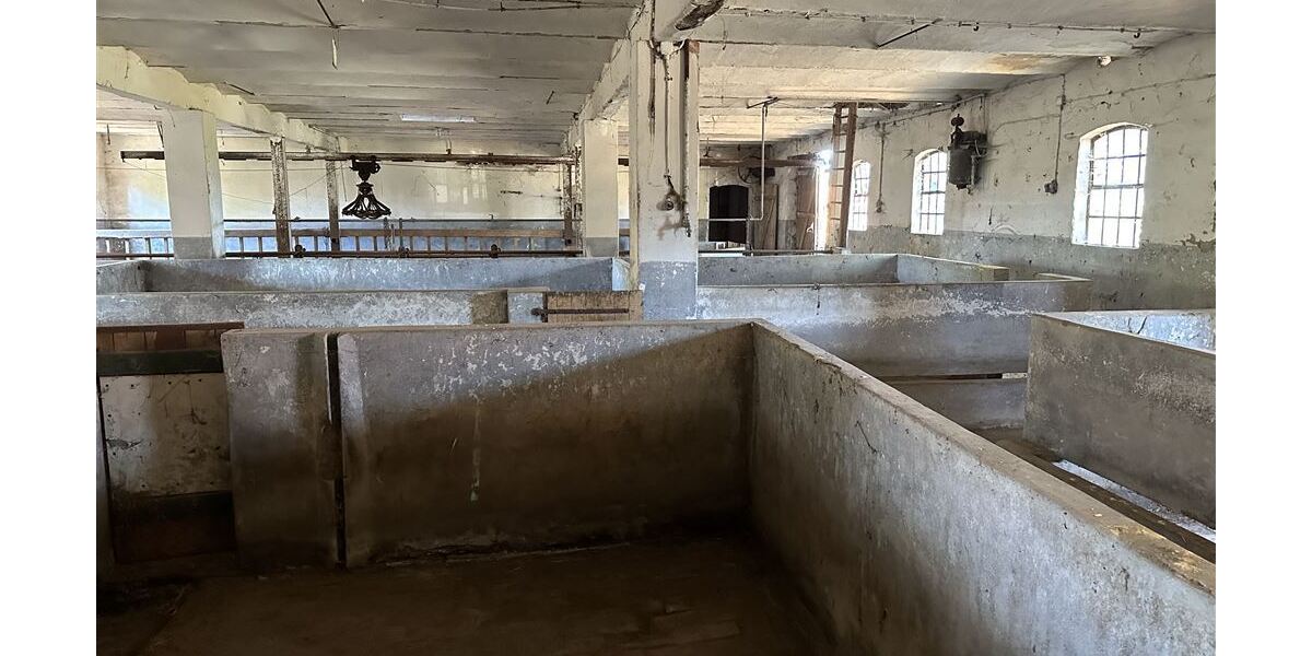 Großes Anwesen am Weser-Radweg, ideal für Pferdehaltung & Hofcafé - Gewerbeobjekt Stolzenau | Angebot:26216120