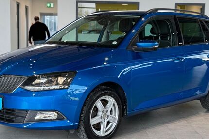 Skoda Fabia 100.926 km 9.995 &euro; Herford 32052