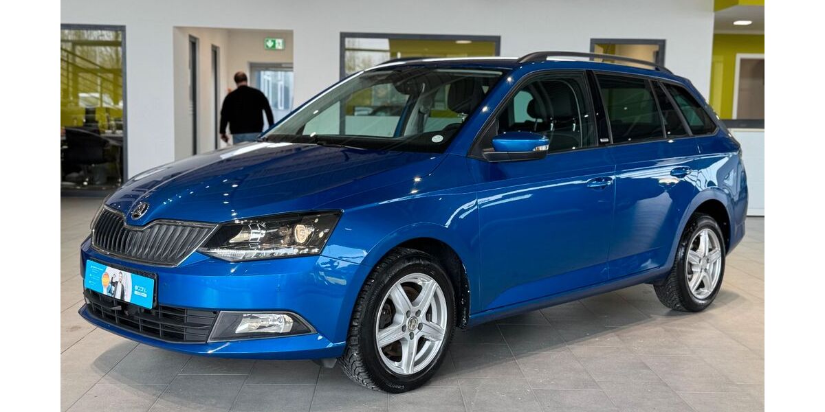 Skoda Fabia 100.926 km 9.995 &euro; Herford 32052