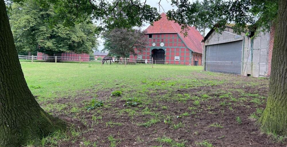 Historischer Niedersachsen- Bauernhof in Fachwerk mit Pferdeboxen u. tollen Eichenbaumbestand - Gewerbeobjekt Diepenau | Angebot:26216376