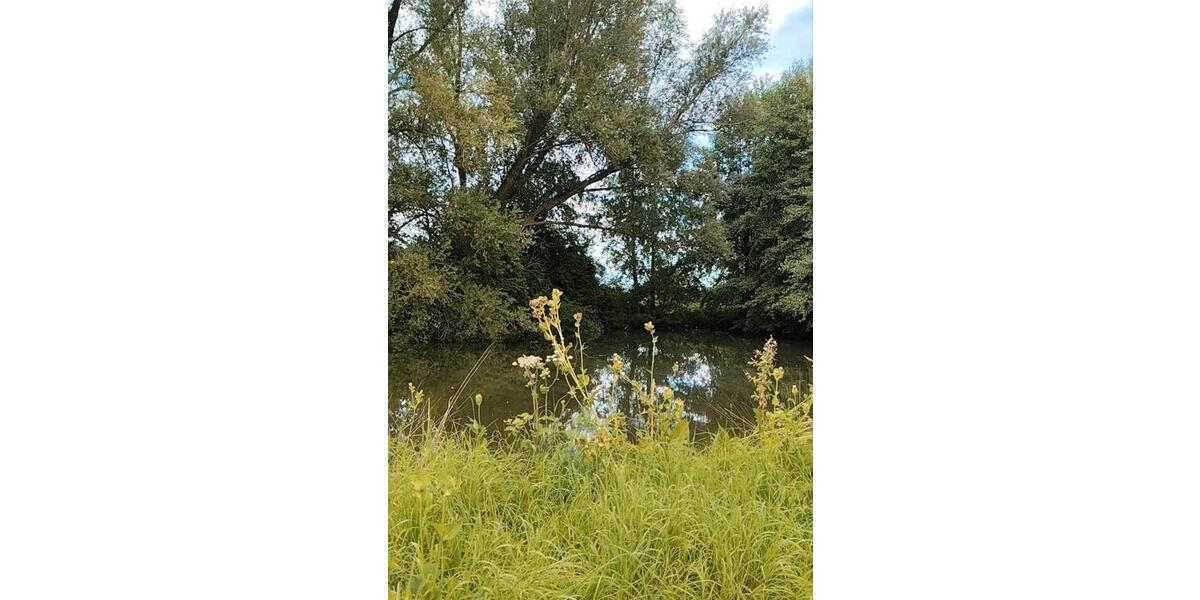 Einfamilienhaus Rodenberg - 37.500&euro; | Angebot:26222001