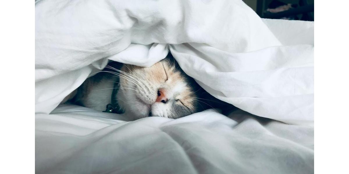 Einfamilienhaus Kirchlengern - 4 Zimmer, 155 m&sup2;, 2.100&euro; | Angebot:24639632