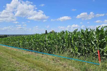 Grundstück Obernkirchen - 70.000&euro; | Angebot:19242480