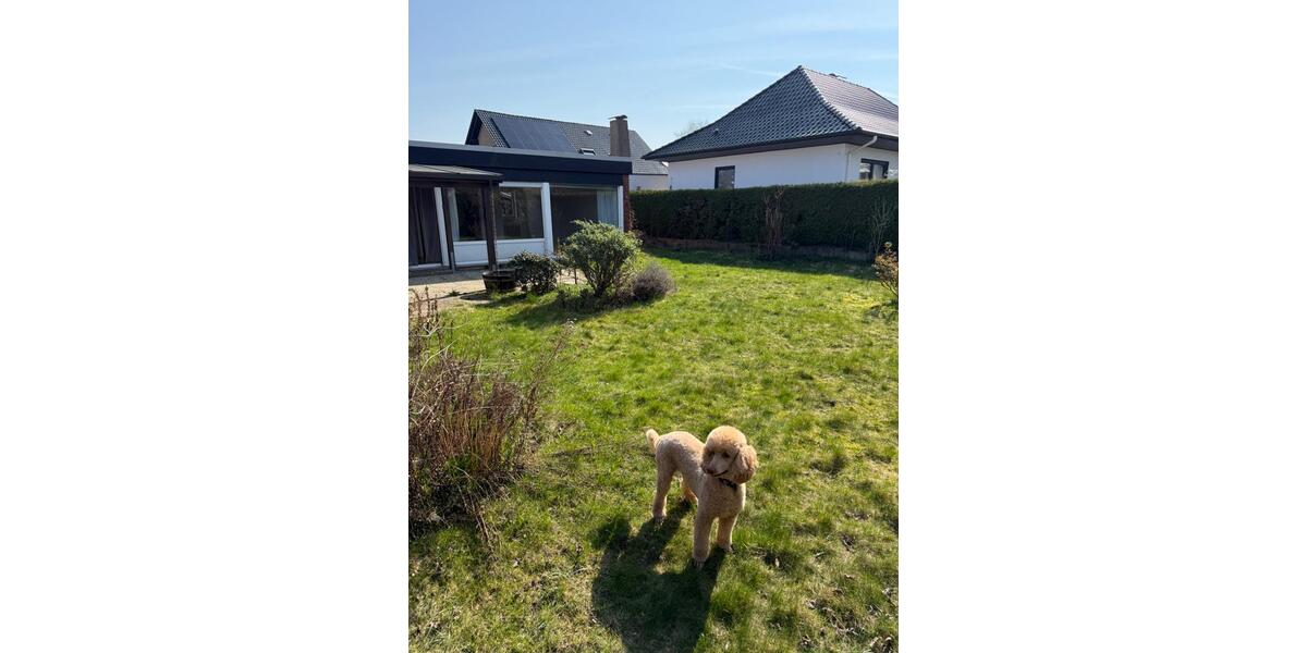 Bungalow Lübbecke - 5 Zimmer, 125 m&sup2;, 179.000&euro; | Angebot:26754721