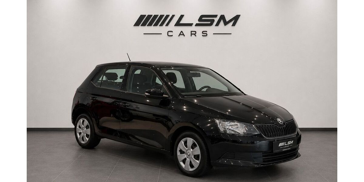 Skoda Fabia 56.900 km 10.490 &euro; Bückeburg 31675