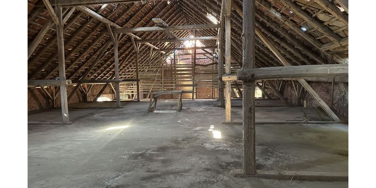 Großes Anwesen am Weser-Radweg, ideal für Pferdehaltung & Hofcafé - Gewerbeobjekt Stolzenau | Angebot:26216120