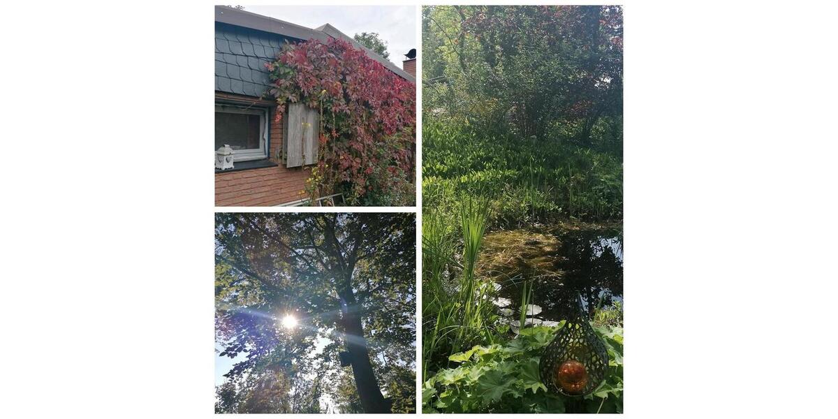 Bungalow Rehburg-Loccum Loccum - 2 Zimmer, 56 m&sup2;, 145.000&euro; | Angebot:26024329