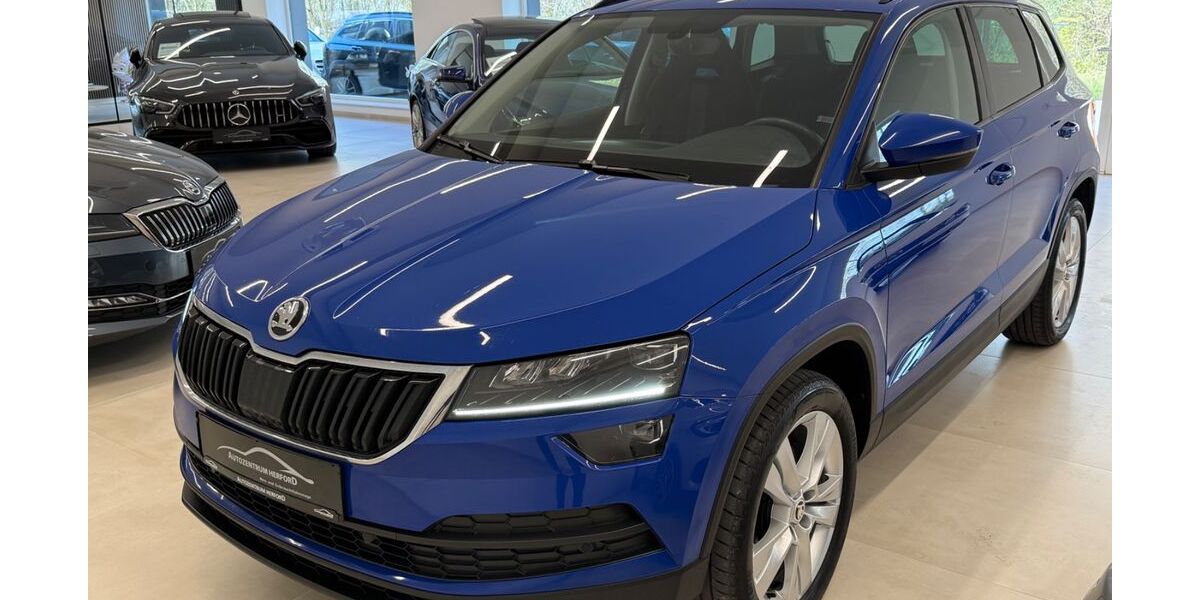 Skoda Karoq 220.000 km 14.900 &euro; Herford 32051