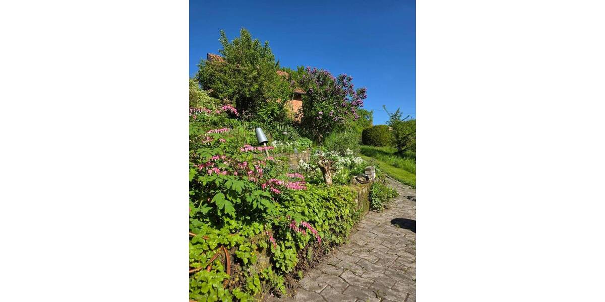 Mehrfamilienhaus, Wohnhaus Auetal Rolfshagen - 5 Zimmer, 223 m&sup2;, 248.000&euro; | Angebot:26028118