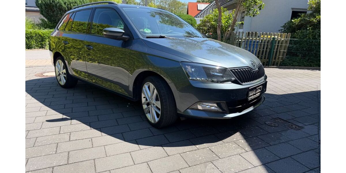 Skoda Fabia 98.100 km 7.600 &euro; Herford 32052