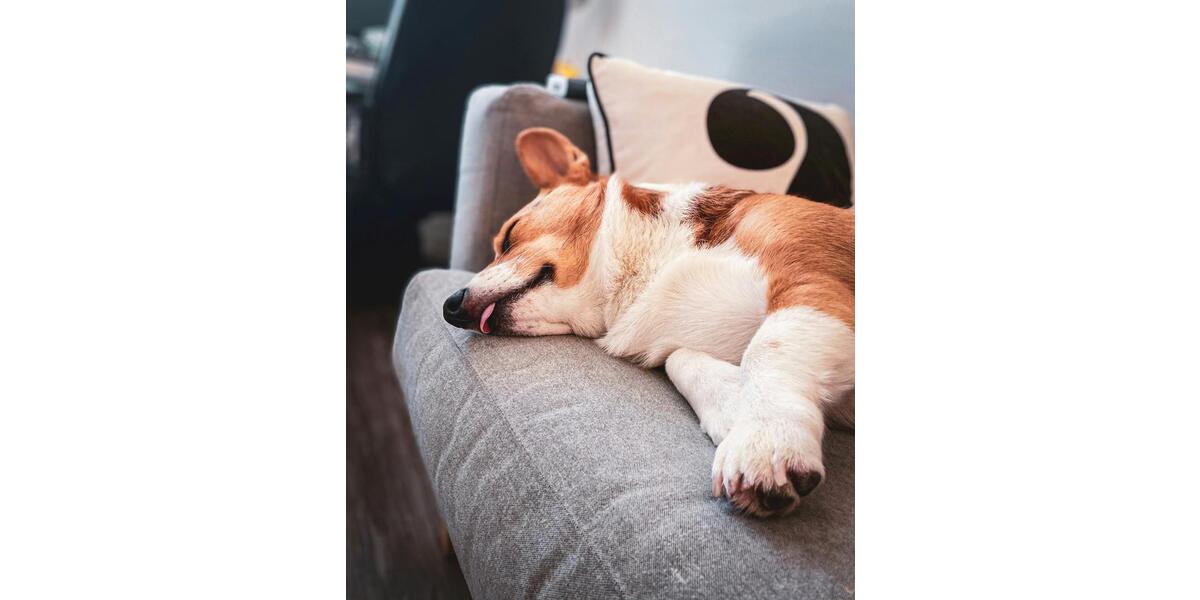 Einfamilienhaus Porta Westfalica - 5 Zimmer, 136 m&sup2;, 1.500&euro; | Angebot:24980621