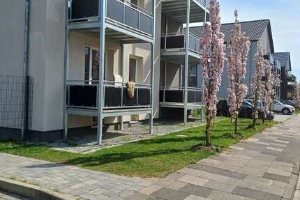 Wohnung Minden Bärenkämpen - 2 Zimmer, 56 m&sup2;, 549&euro; | Angebot:26094908